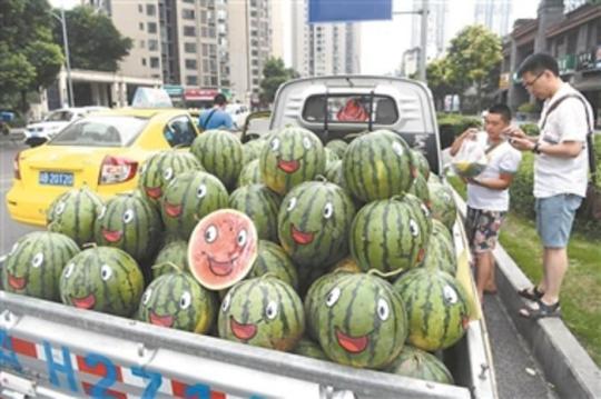  中国成最大西瓜生产和消费国 “吃瓜群众”将西瓜吃成大产业 劳动纠纷