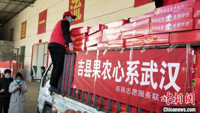 山西吉县果农情系武汉 3万余斤一级苹果捐赠医护人员 婚姻家庭 第2张